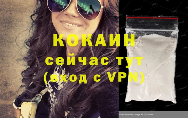 ГАЛЛЮЦИНОГЕННЫЕ ГРИБЫ Горно-Алтайск