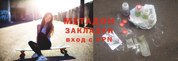 прущие грибы Горняк