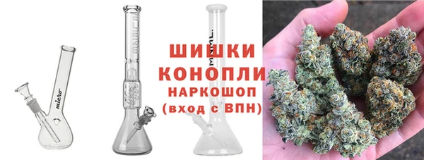 прущие грибы Горняк