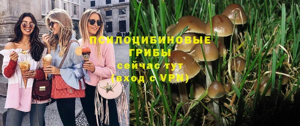 гашиш Горнозаводск