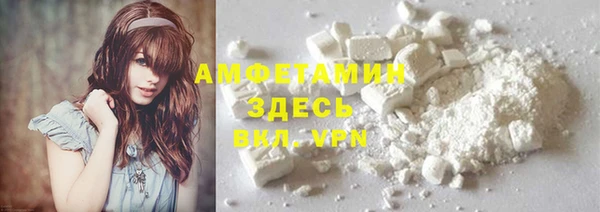 ГАЛЛЮЦИНОГЕННЫЕ ГРИБЫ Горно-Алтайск