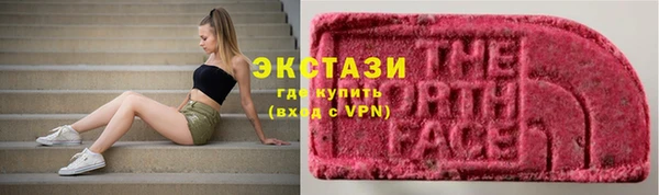 прущие грибы Горняк