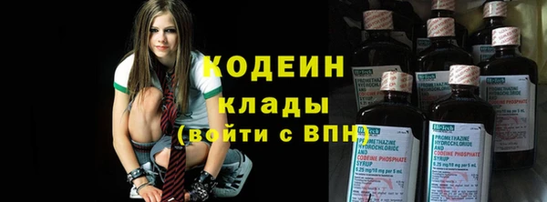 прущие грибы Горняк