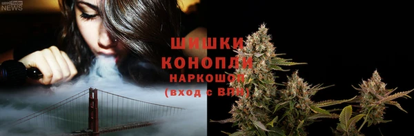 прущие грибы Горняк