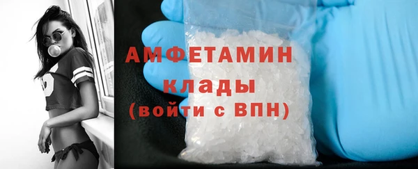 прущие грибы Горняк