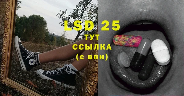 прущие грибы Горняк