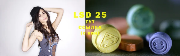 прущие грибы Горняк