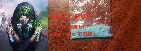 ГАЛЛЮЦИНОГЕННЫЕ ГРИБЫ Горно-Алтайск
