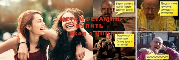 прущие грибы Горняк