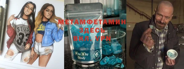 прущие грибы Горняк